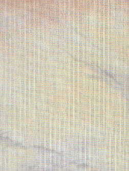 101.JPG (19950 bytes)