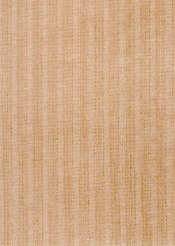 5.JPG (17540 bytes)