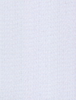 1.JPG (11624 bytes)